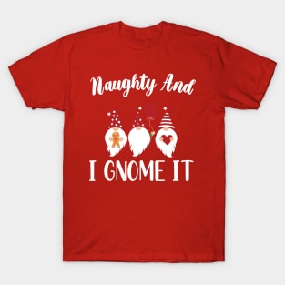 Naughty And I Gnome It / Funny Pajama Christmas Gnomes / Christmas Three Buffalo Plaid Gnomes T-Shirt